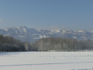 「今朝の森」の画像