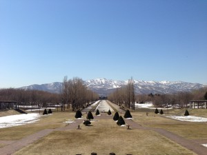 「少しずつ、春です。」の画像