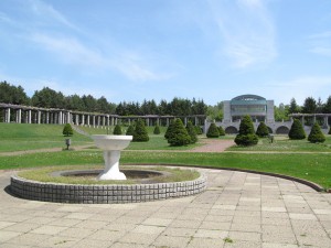 「フジ開花状況とふじまつりのお知らせ」の画像