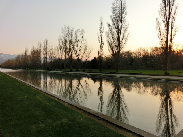 「夕方の公園　＆　サクラの様子」の画像