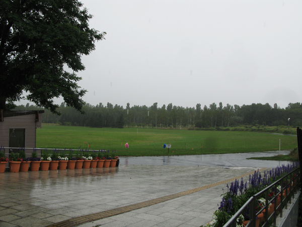 「雨の前田森林」の画像