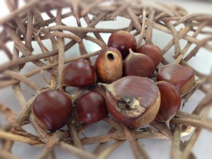 「秋の景色」の画像