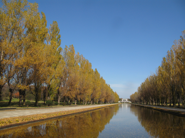 「晩秋のカナール」の画像