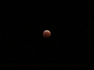 「皆既月食」の画像