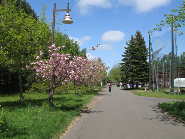 「今日のギョイコウ」の画像