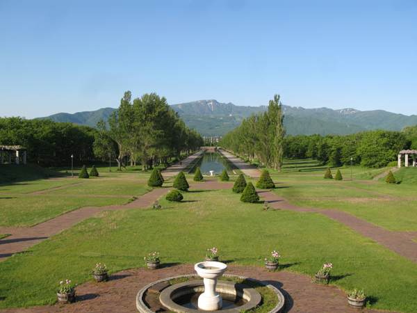 「5月２８日フジ開花状況他」の画像