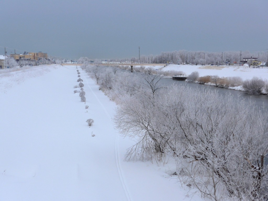「新川のケアラシ」の画像