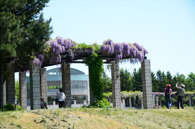 「賑わいの週末」の画像