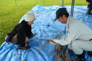 DSC_4481_Rre_edited-1