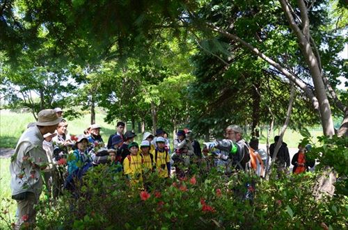 「凸凹クラブ 自然観察会の様子」の画像