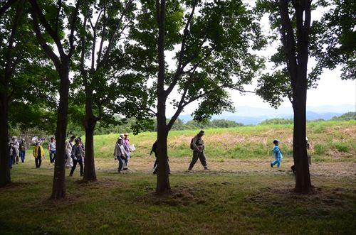 「自然観察会を行いました」の画像