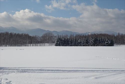 「2017年は森の中でクロカン♪ 手稲駅