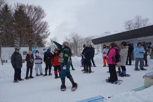 「冬の自然観察会を行いました」の画像