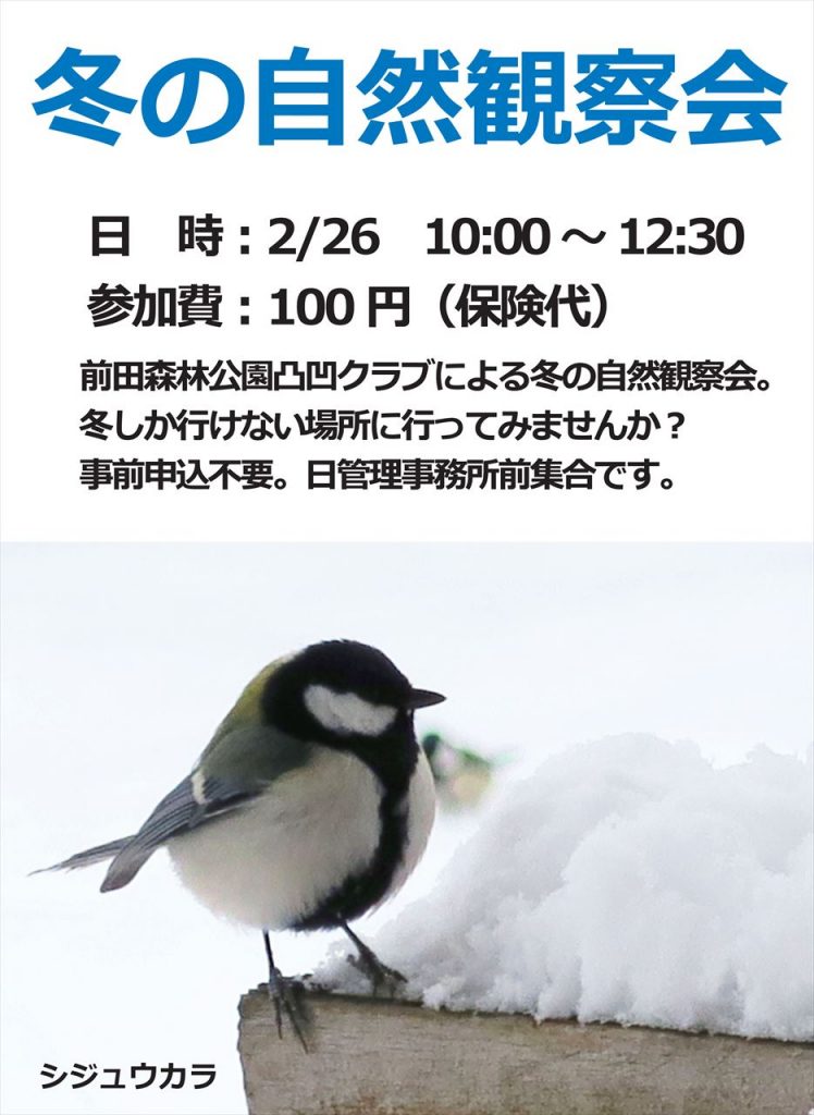 「2/26(日)冬の自然観察会を行います」の画像