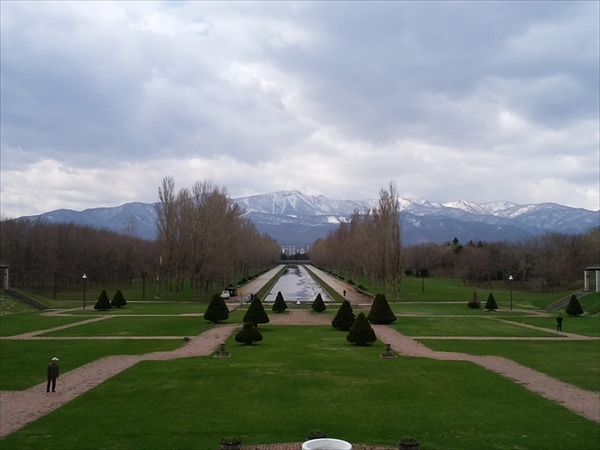 「本日のサクラ開花情報」の画像