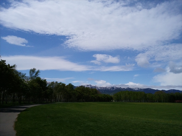 「5月15日の花」の画像