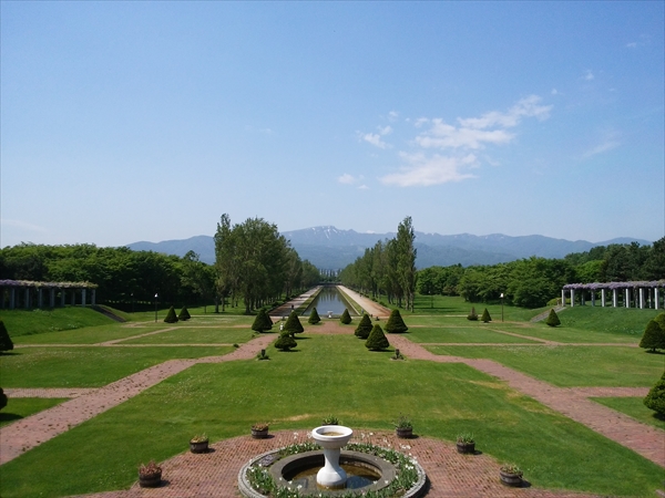 「５月２９日　フジの開花状況」の画像