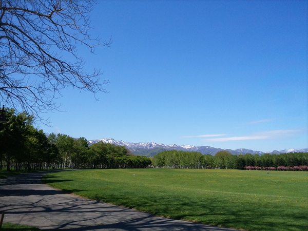 「５月１７日　フジとギョイコウ」の画像