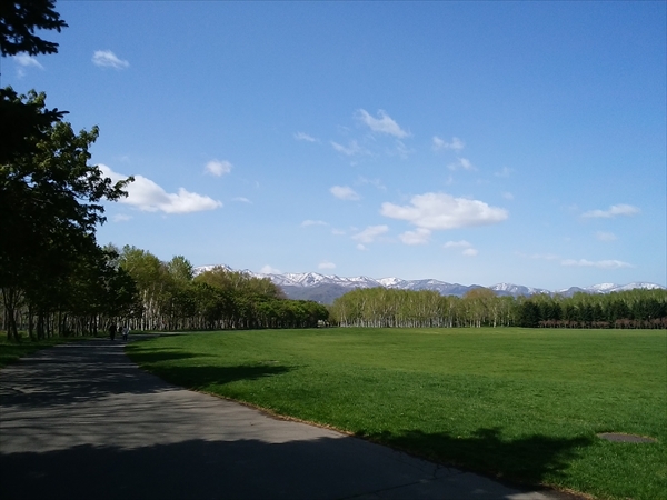 「5月9日のギョイコウ（御衣黄）」の画像