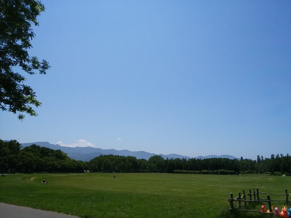 「セカリー広場　宿根草植え込み」の画像
