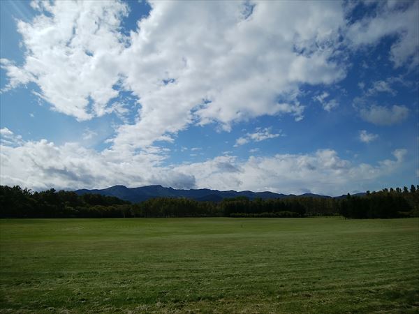 「ダリアが見頃です」の画像