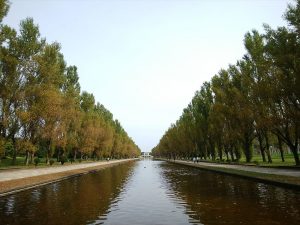 「今日の紅葉」の画像