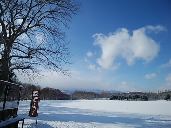「本日の公園」の画像