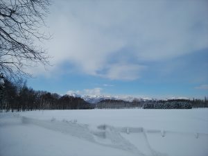 「今日の園内」の画像