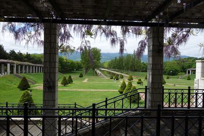 「5月27日のフジ」の画像