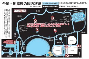 園内開放場所のマップ。園路など歩けるところを表示しています。