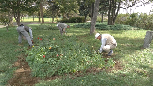 「森林クリーン活動」の画像
