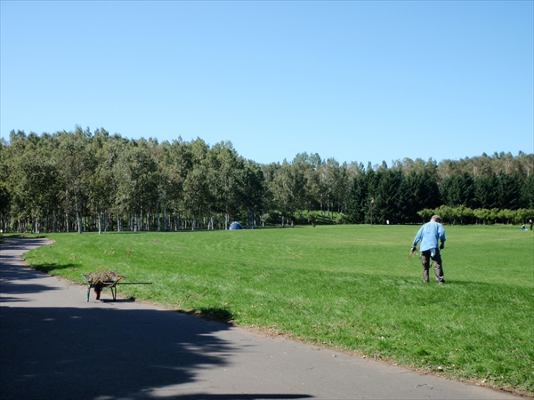 「森林クリーンボランティアの活動」の画像