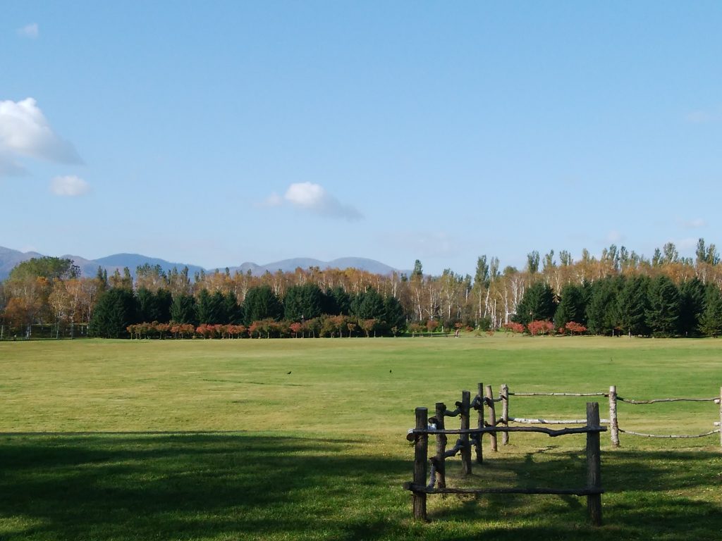 エゾヤマザクラの紅葉