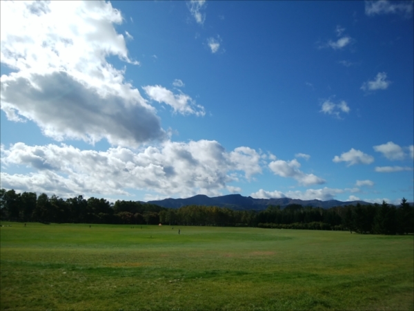 「本日の園内」の画像