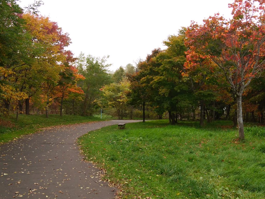 「今年の紅葉は…」の画像