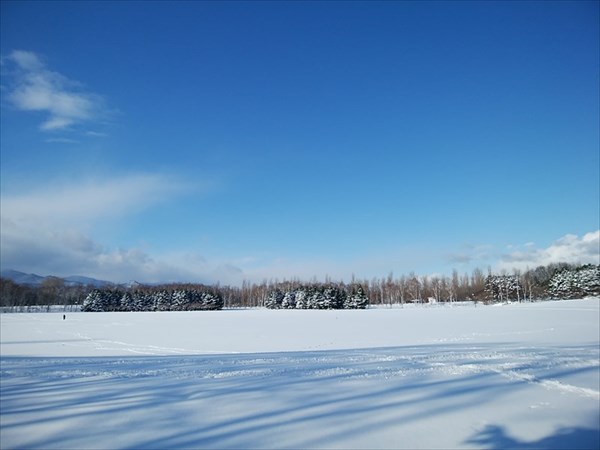 「今日の園内」の画像