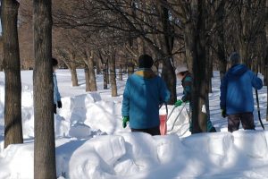 ボランティアさんが作ってくれたソリ用のスロープ