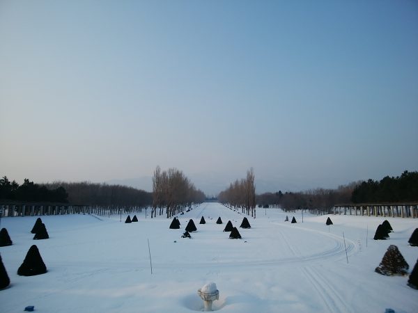 「最近の園内」の画像