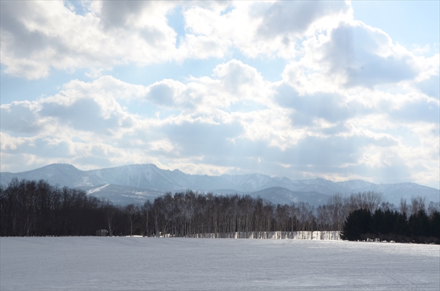 「春に向けて」の画像