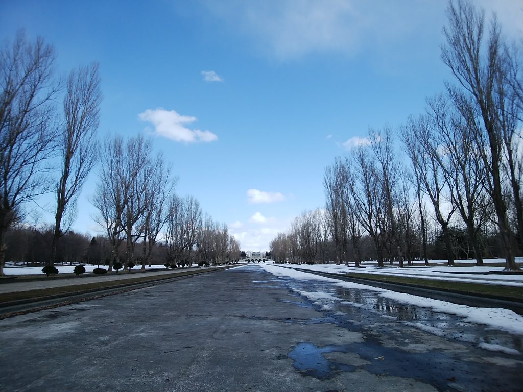 水のないカナール