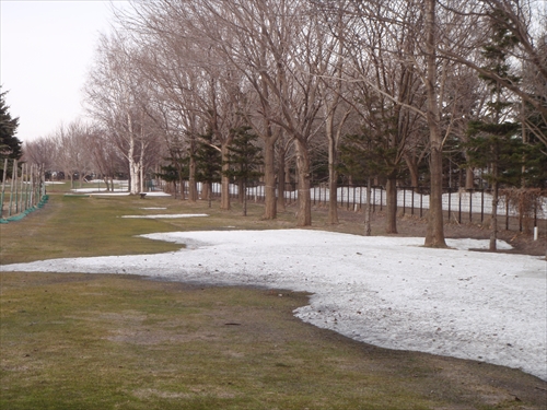 「パークゴルフ場は4月20日土曜日オープン予定です」の画像