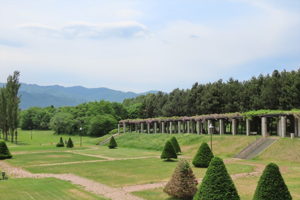 海側の大パーゴラ。フジが散り始め、葉の緑色が目立ち始めている写真