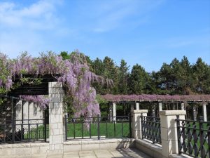 「今日のフジ」の画像