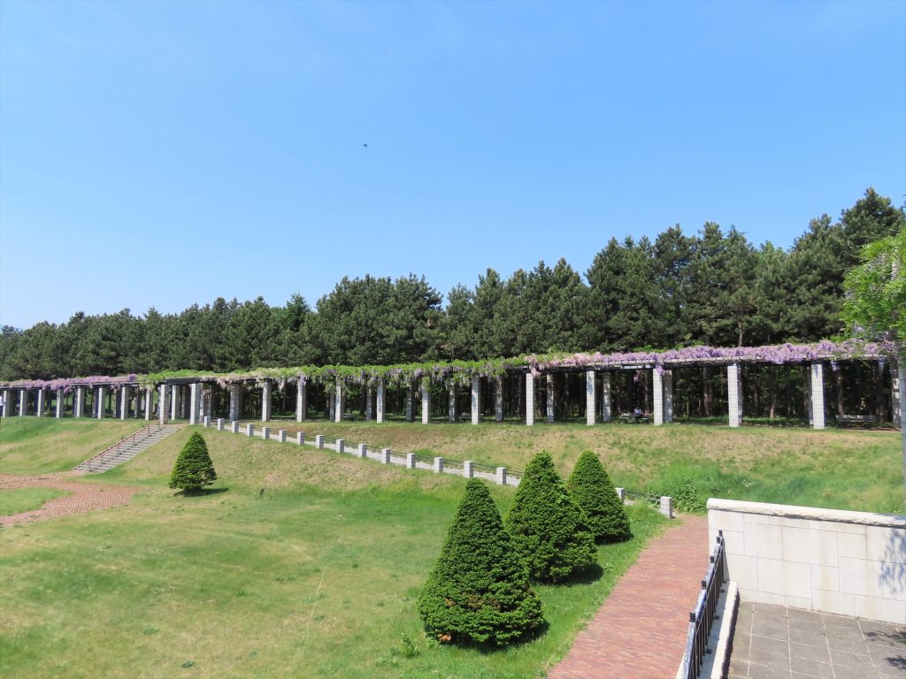 海側の大パーゴラの写真