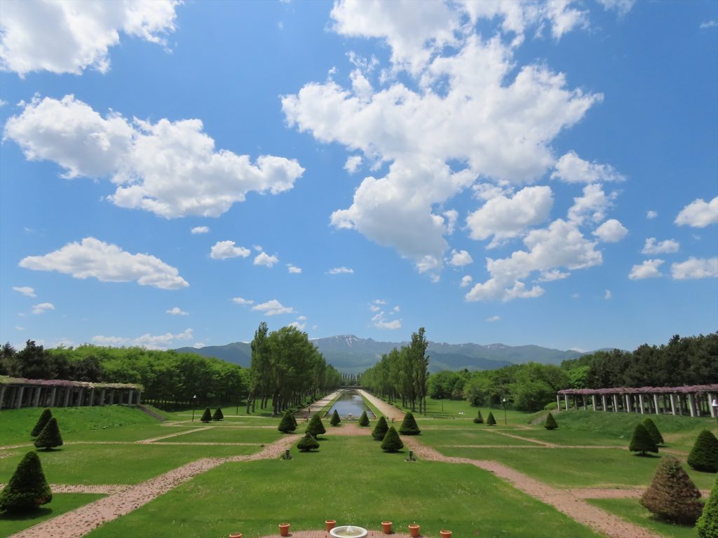 「本日の花たち」の画像