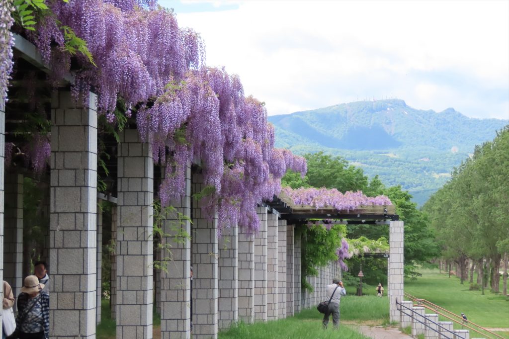 「5月30日のフジ」の画像