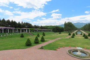 花木園側の大パーゴラの写真