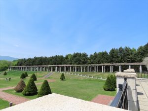 「園内のフジと野鳥たち」の画像