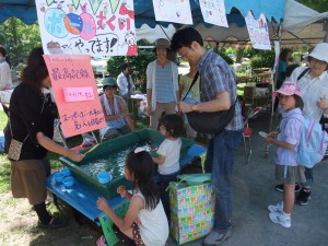 暑いので、スーパーボールすくいも人気でしたね。