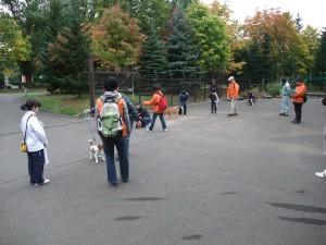 しつけ教室です